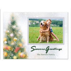 Holiday Postcard-Christmas Dream