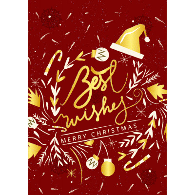Holiday Greeting Card - Crazy Christmas Party